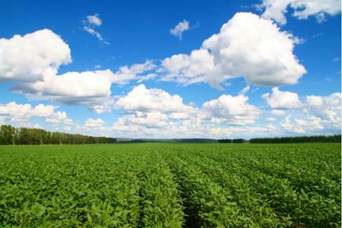 22.jpeg
